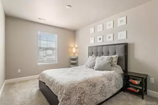 3888 Red Valley Ln, Castle Rock, CO 80104 - Photo 31