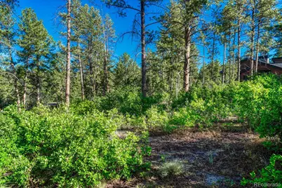 1205 Wildcat Bend Court, Castle Rock, CO 80108 - Photo 5