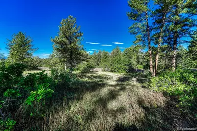 1205 Wildcat Bend Court, Castle Rock, CO 80108 - Photo 7