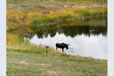 7082 Silverhorn Drive, Evergreen, CO 80439 - Photo 33