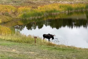 7082 Silverhorn Dr, Evergreen, CO 80439 - Photo 33