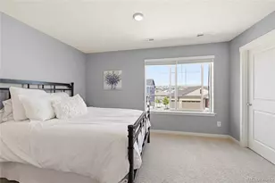 4828 Cattle Cross Rd, Castle Rock, CO 80104 - Photo 29