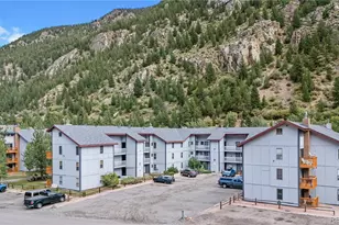 1901 Clear Creek Dr, Georgetown, CO 80444 - Photo 29
