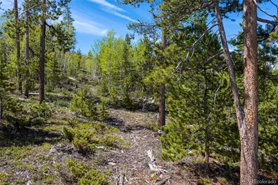 330 Cirrus Way, Granby, CO 80446 - Photo 3