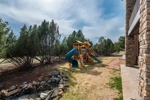 4725 Palmer Ridge Dr, Parker, CO 80134 - Photo 41