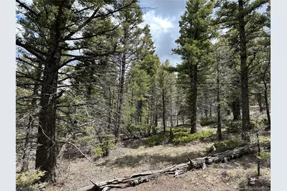 Lot 5825 Covington Road, Fort Garland, CO 81133 - Photo 17
