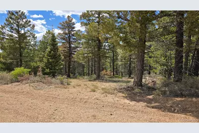 Lot 5825 Covington Road, Fort Garland, CO 81133 - Photo 3