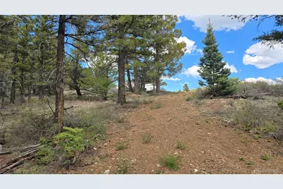 Lot 5825 Covington Road, Fort Garland, CO 81133 - Photo 5