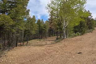 Lot 5825 Covington Rd, Fort Garland, CO 81133 - Photo 1