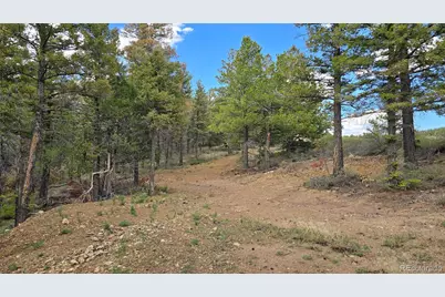 Lot 5825 Covington Road, Fort Garland, CO 81133 - Photo 9