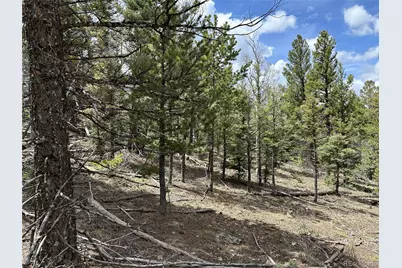 Lot 5825 Covington Road, Fort Garland, CO 81133 - Photo 21