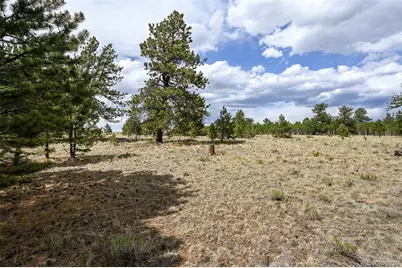 614 Yellowstone Road, Hartsel, CO 80449 - Photo 15