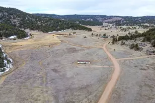 966 Co Rd 411, Florissant, CO 80816 - Photo 45