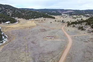 966 Co Rd 411, Florissant, CO 80816 - Photo 39