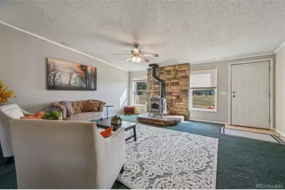 966 County Road 411, Florissant, CO 80816 - Photo 5