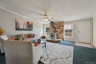 966 Co Rd 411, Florissant, CO 80816 - Photo 5