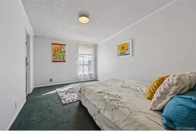 966 County Road 411, Florissant, CO 80816 - Photo 33