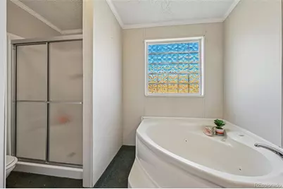 966 County Road 411, Florissant, CO 80816 - Photo 13