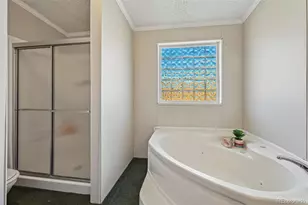 966 Co Rd 411, Florissant, CO 80816 - Photo 13