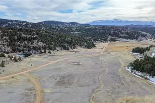 966 Co Rd 411, Florissant, CO 80816 - Photo 41