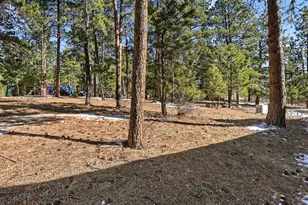 8220 Iowa Gulch Rd, Morrison, CO 80465 - Photo 33