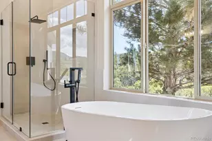 1310 Colt Cir, Castle Rock, CO 80109 - Photo 29