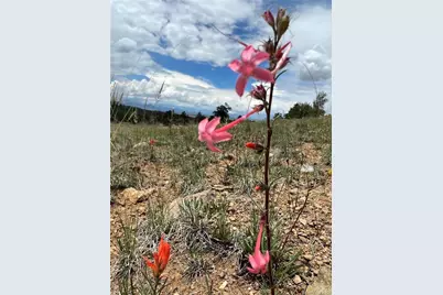 983 La Plata Circle, Hartsel, CO 80449 - Photo 23