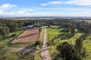 2072 Summit St, Franktown, CO 80116 - Photo 47