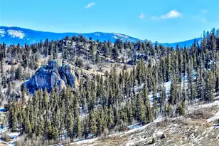 201 Bronco Cir, Como, CO 80432 - Photo 23