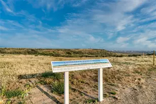 14524 Hagus Pl, Parker, CO 80134 - Photo 45