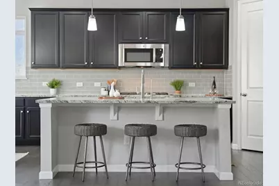 6695 Petunia Place, Castle Rock, CO 80108 - Photo 3