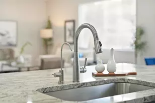 6695 Petunia Pl, Castle Rock, CO 80108 - Photo 7