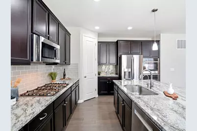 6695 Petunia Place, Castle Rock, CO 80108 - Photo 5