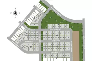 827 Mesic Ln, Windsor, CO 80550 - Photo 5