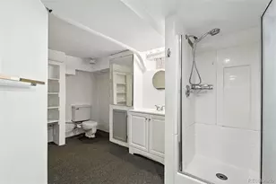 1470 Birch Street, Denver, CO 80220 - Photo 31