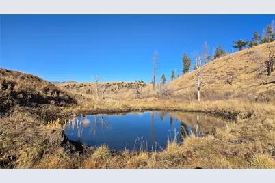 7741 Van Giesen Road, Fort Garland, CO 81133 - Photo 1