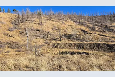 7741 Van Giesen Road, Fort Garland, CO 81133 - Photo 15