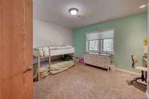 13353 County Road 261 J, Nathrop, CO 81236 - Photo 39