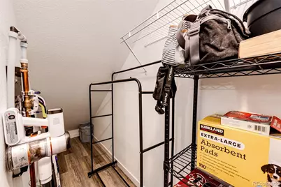 9630 Browns Peak Circle, Littleton, CO 80125 - Photo 29