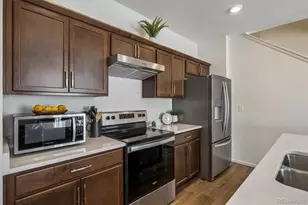 608 N Bersshine Ct, Watkins, CO 80137 - Photo 11