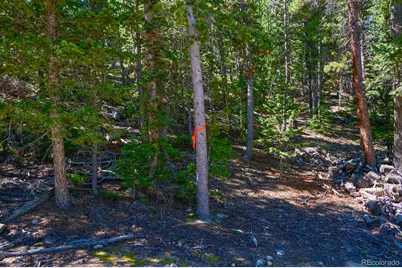 0 Pine Cone Circle, Ward, CO 80401 - Photo 13