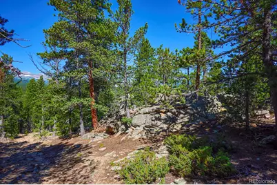 0 Pine Cone Circle, Ward, CO 80401 - Photo 17