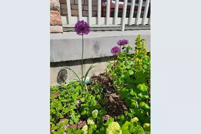 3812 S Malaya Court, Aurora, CO 80013 - Photo 41