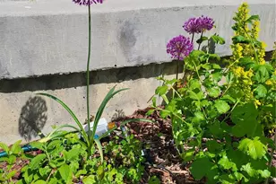 3812 S Malaya Ct, Aurora, CO 80013 - Photo 41