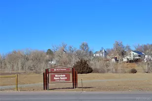 10381 Cook Way, Thornton, CO 80229 - Photo 33