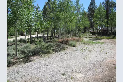 1524 Narrow Gauge Road, Hartsel, CO 80449 - Photo 3