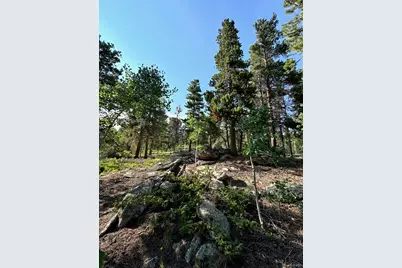 221 Timber Drive, Black Hawk, CO 80422 - Photo 9