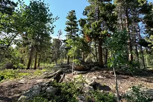 221 Timber Dr, Black Hawk, CO 80422 - Photo 9