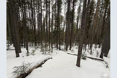 Lot 2805 Moir Drive, Fort Garland, CO 81133 - Photo 5