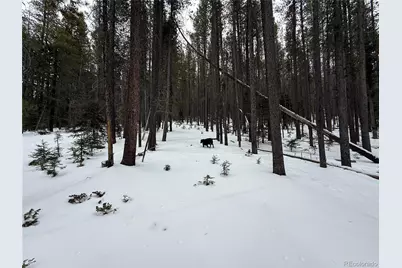 Lot 2805 Moir Drive, Fort Garland, CO 81133 - Photo 9